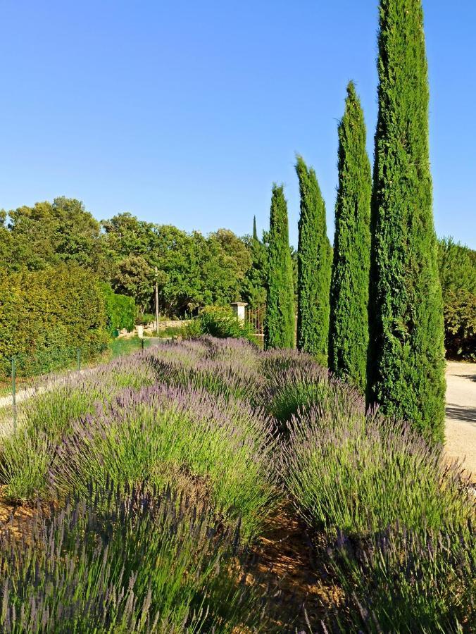 לינה וארוחת בוקר Rognes La Bastide De Cocagne מראה חיצוני תמונה